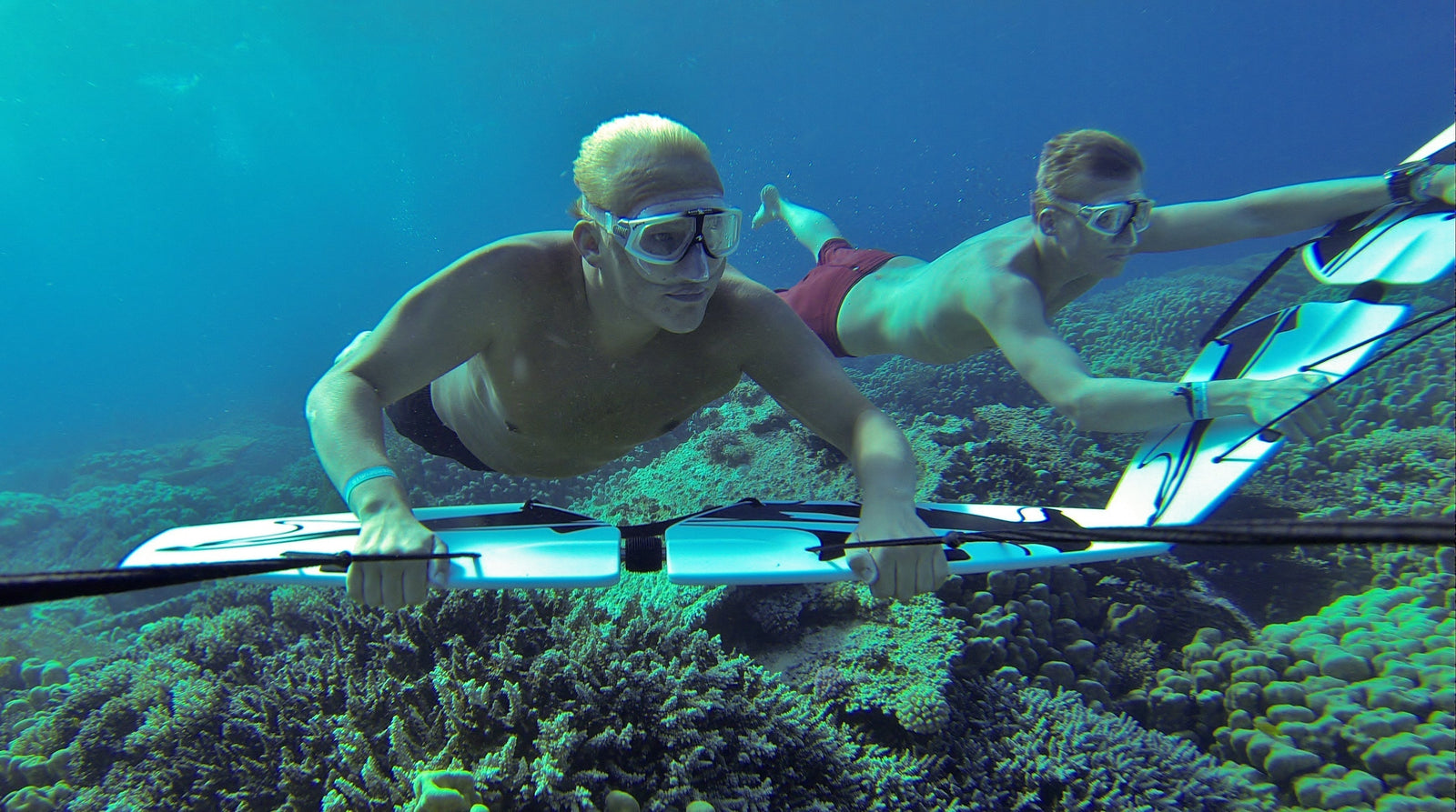 Family-friendly water sports: Why Subwing is perfect for everyone