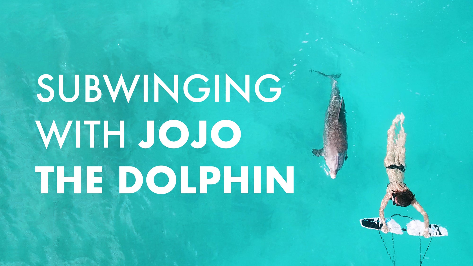 Subwinging with Jojo the dolphin