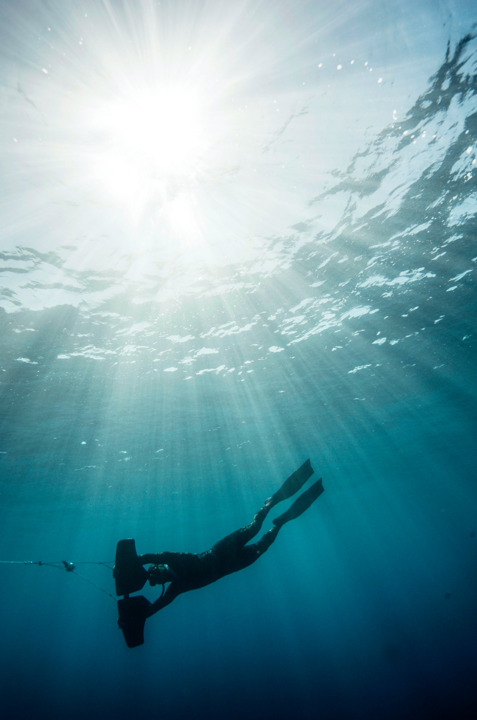 freediver subwinging through sunrays