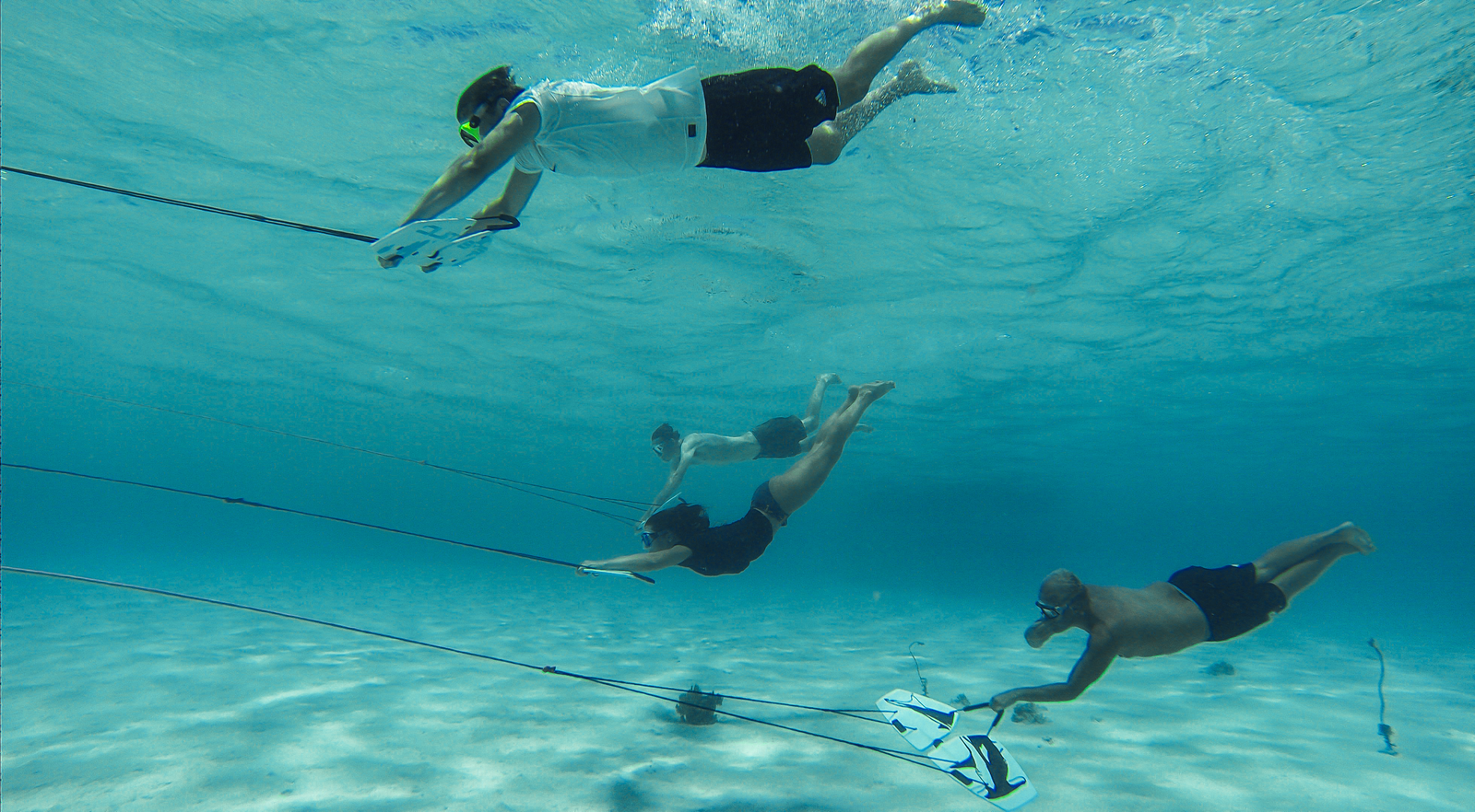 multiple subwing riders diving down