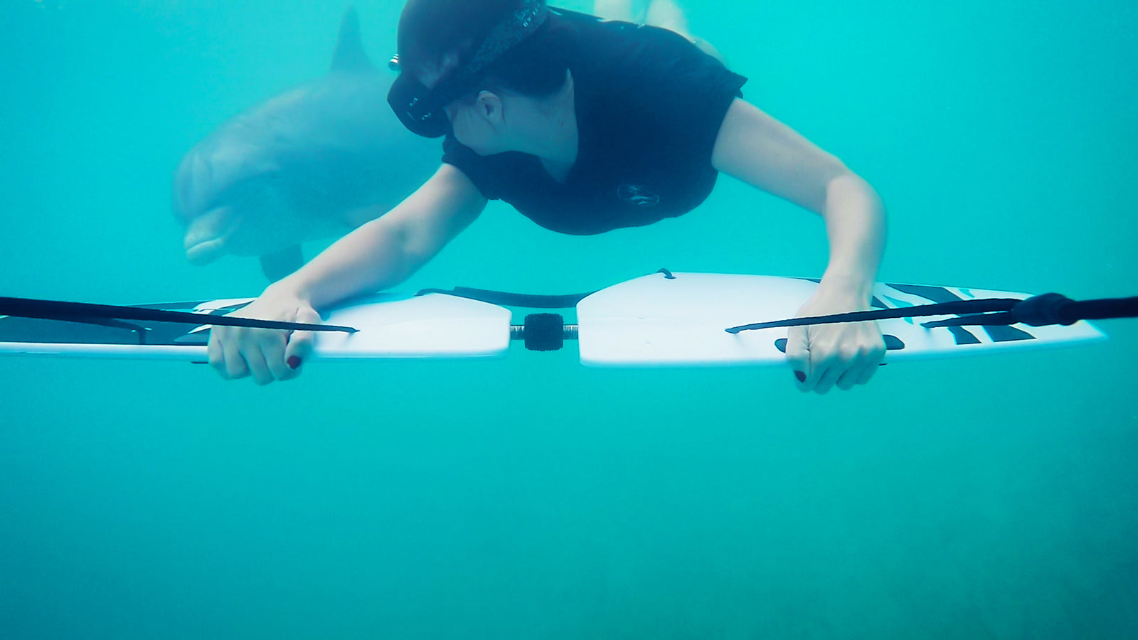 Woman subwing under water with wild friendly dolphin