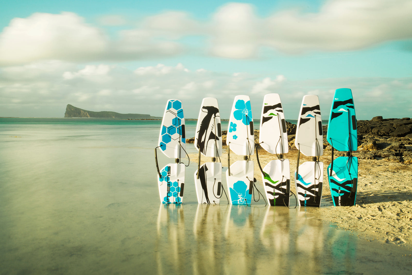 all subwing versions lined up at beach