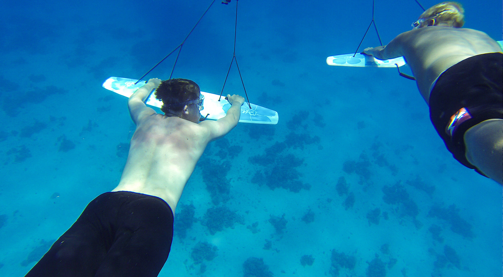 two subwingers rear view
