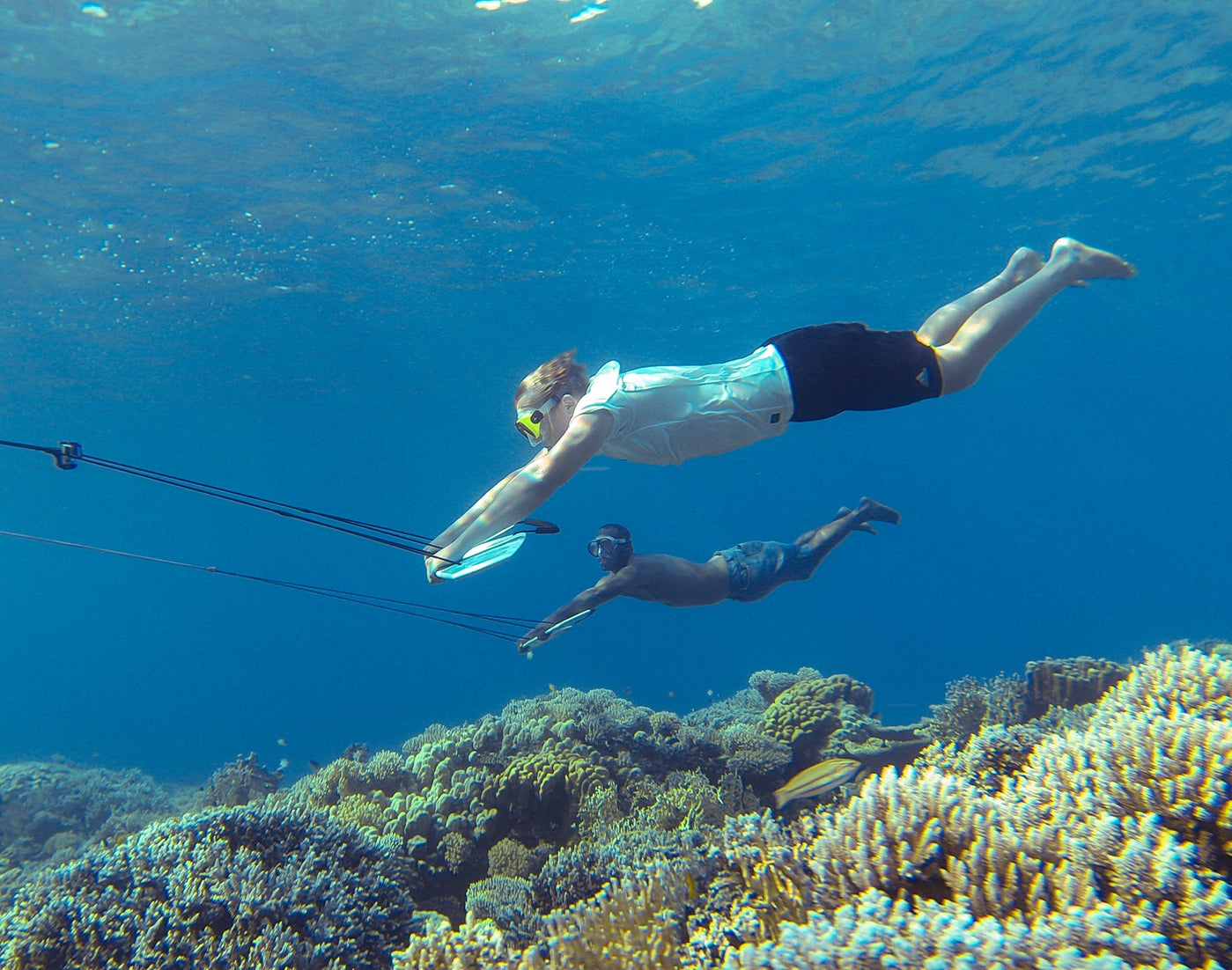 Two subwing riders over coral reef sideview
