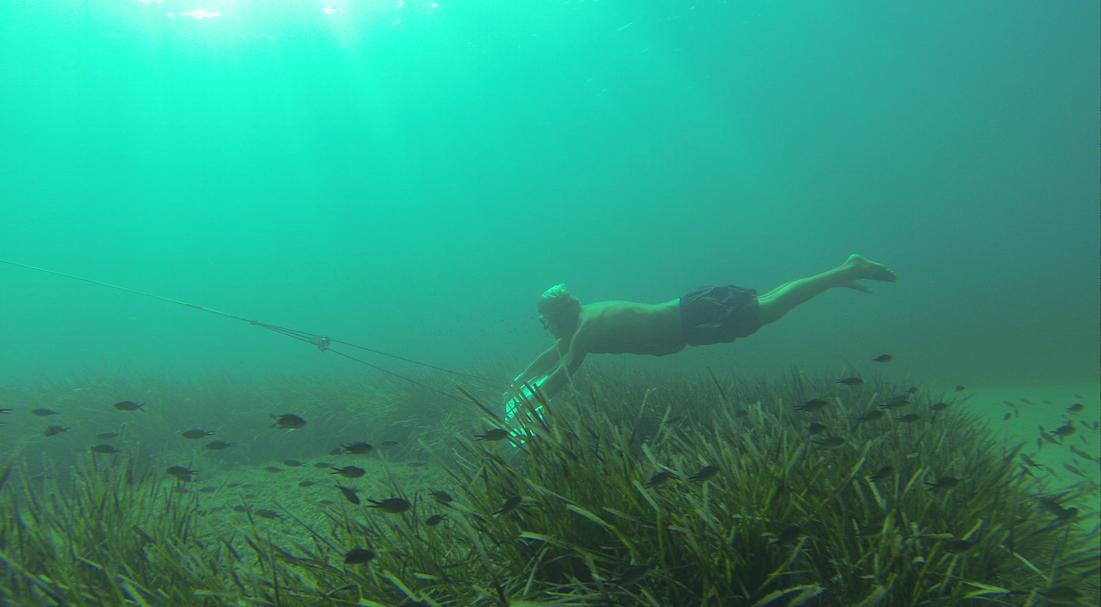 subwinging through seaweed