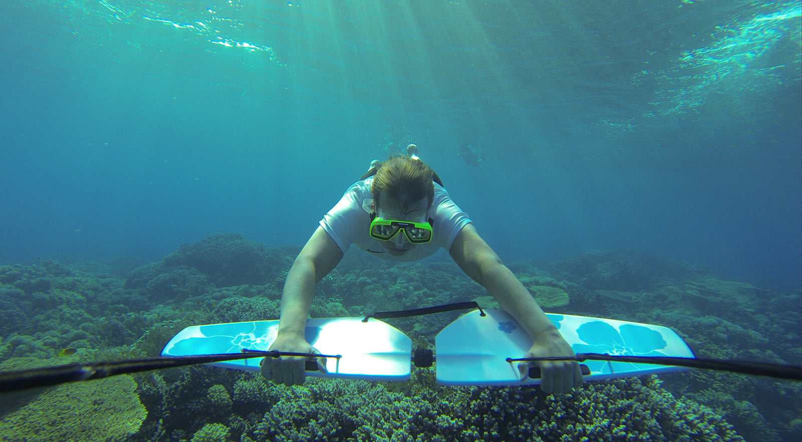 Subwing over coral reef 