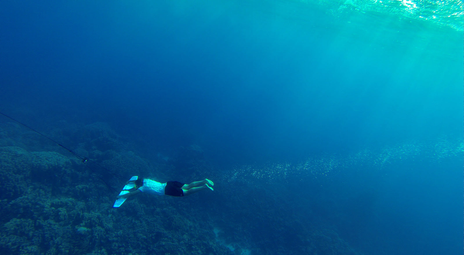 Freediving deep with subwing